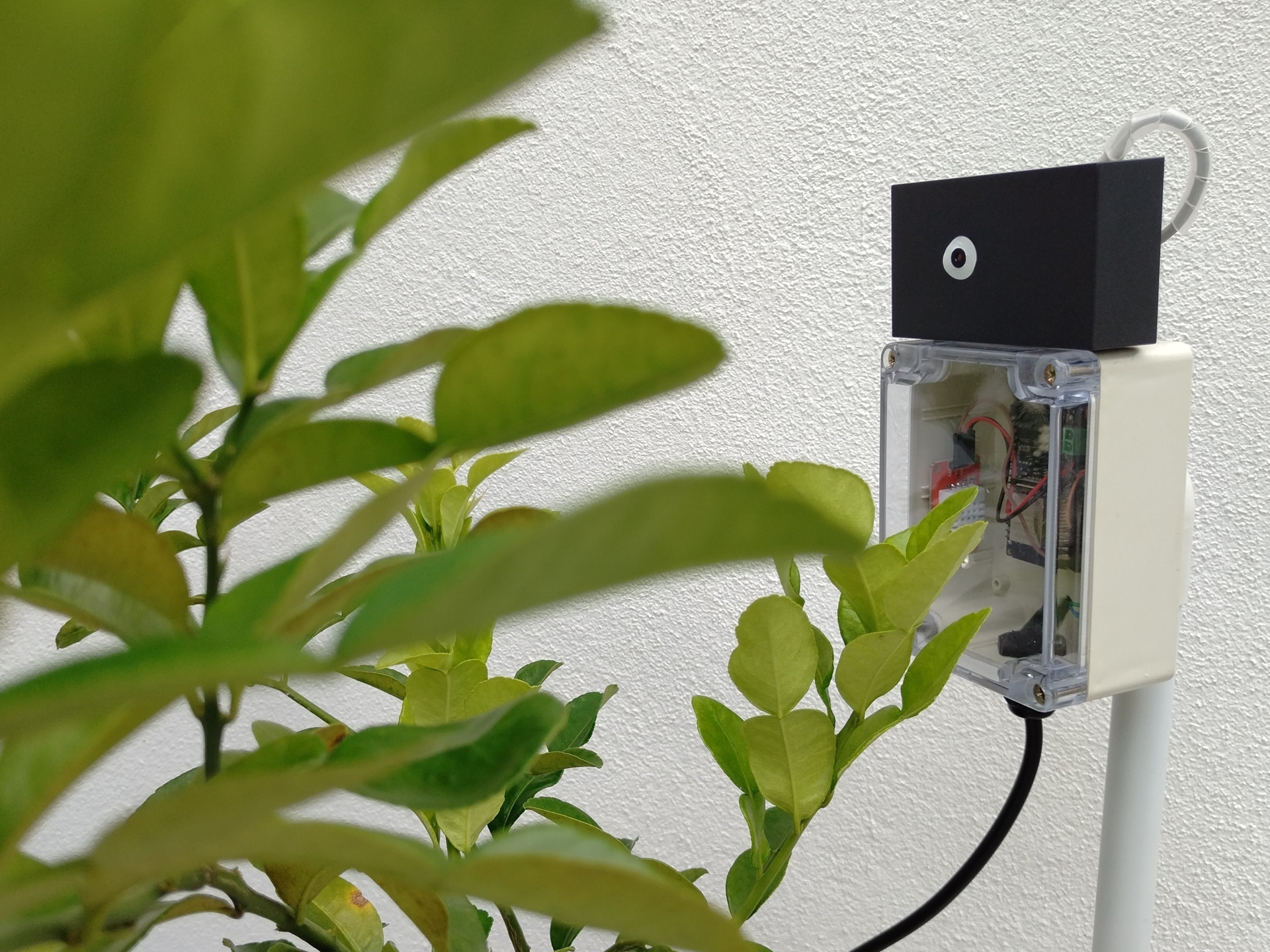 IoT for Agriculture